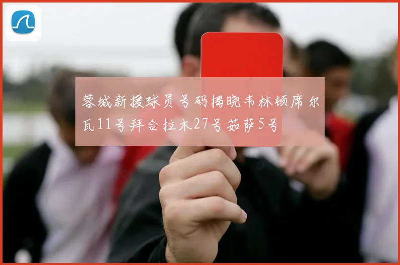 蓉城新援球员号码揭晓韦林顿席尔瓦11号拜合拉木27号茹萨5号